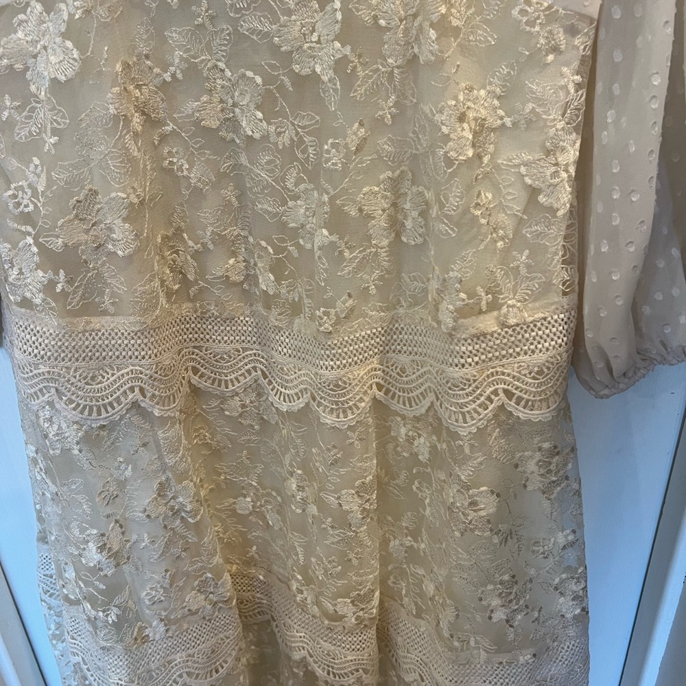Alexis X Target - Picture 2 of 7